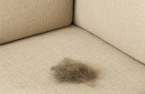My nana taught me this hack to zap pet hair off couches in 3 mins with 0 work. Here’s how it works