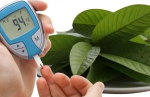 SENIORS: This 1 Leaf DESTR0YS Diabetes & Melts Belly Fat (Doctors HATE It!)