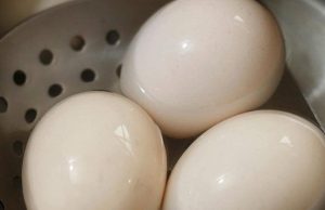 Doctor reveals that eating 3 eggs everyday causes..